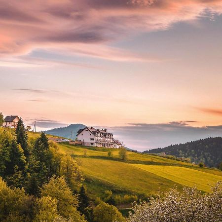 Bed and Breakfast Blizej Nieba Skrzydlna Экстерьер фото