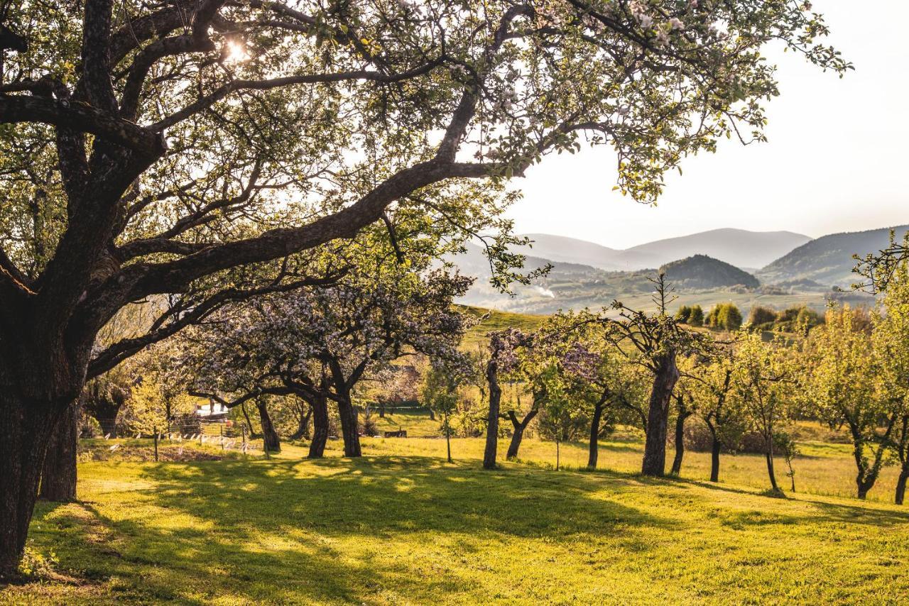 Bed and Breakfast Blizej Nieba Skrzydlna Экстерьер фото