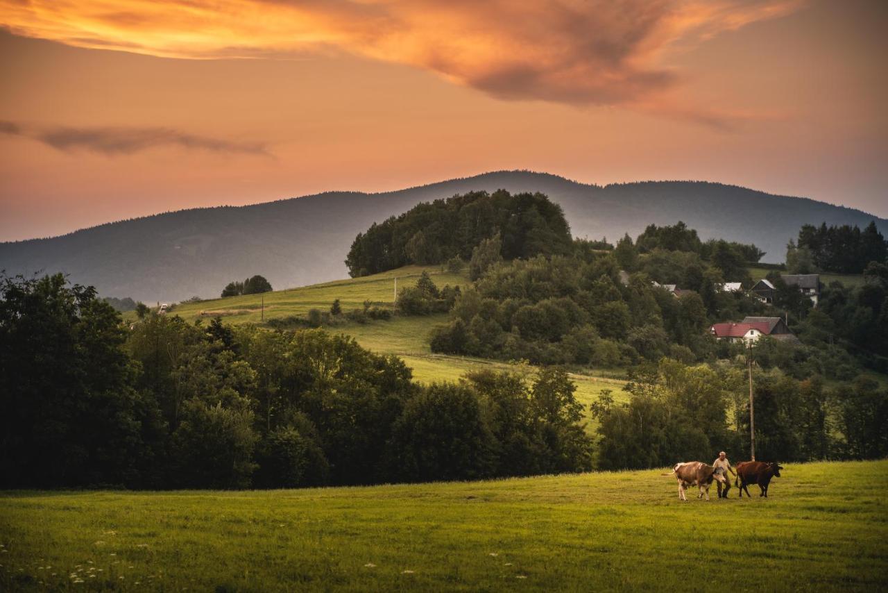 Bed and Breakfast Blizej Nieba Skrzydlna Экстерьер фото